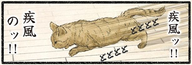 疾走のッ！！ネコぉぉーッ！！ （C）うぐいす歌子／KADOKAWA