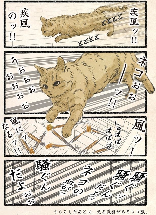 風にッなるッ！！ （C）うぐいす歌子／KADOKAWA