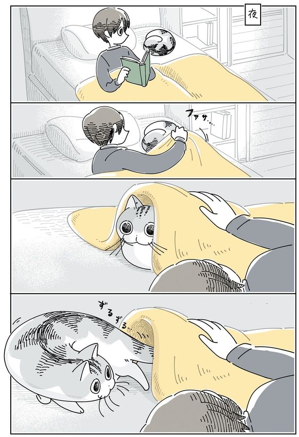 夜、布団をかけてみると （C）キュルZ／KADOKAWA