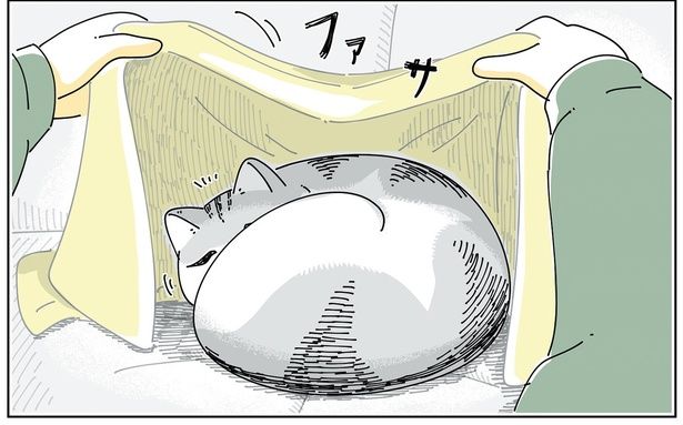 おふとんをかけると （C）キュルZ／KADOKAWA