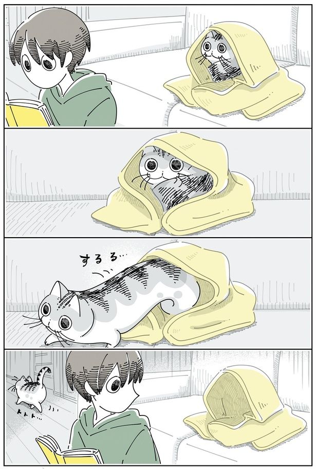 静かにスルリと （C）キュルZ／KADOKAWA