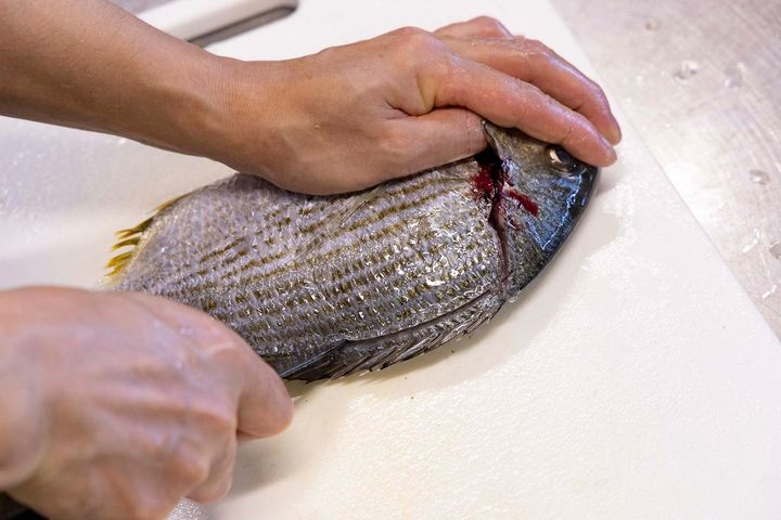 ガイドラインを入れる