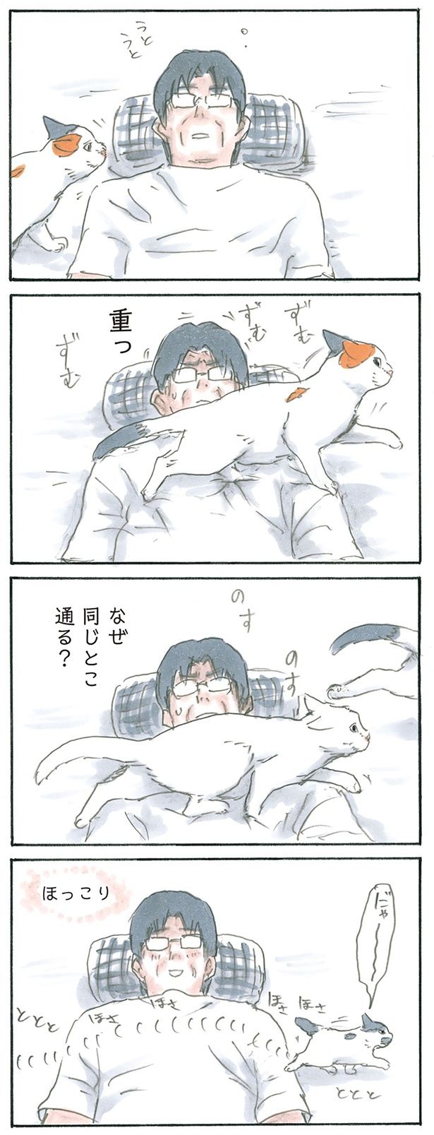 猫通ります （C）にごたろ／KADOKAWA