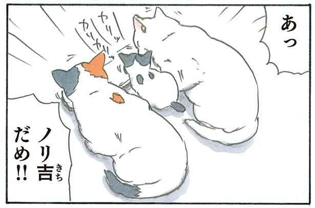 だめ！ （C）にごたろ／KADOKAWA