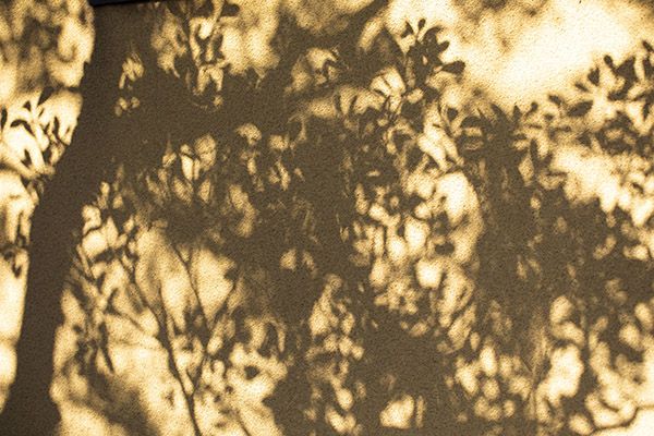 元結不動 密蔵院