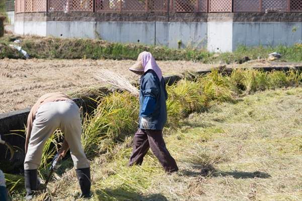 大人の脳トレドリル：流行語思い出し問題5