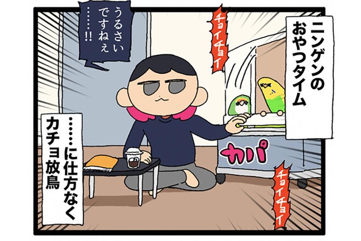飼い主のおやつに敏感すぎるセキセイインコ・カチョ【鳥マンガ #194】