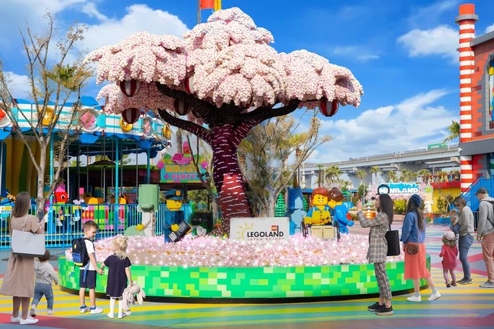 サクラツリー イメージ