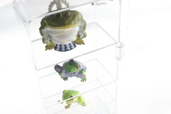 ダイソー 透明収納ケース（フタ付、B） 使用例