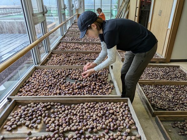 農山漁村で1年間のボランティアプログラムを体験！「緑のふるさと協力隊」追加募集中