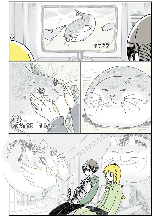 アザラシを見ていると （C）キュルZ／KADOKAWA