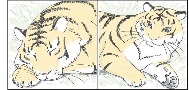 ネコ科なのを実感する （C）キュルZ／KADOKAWA