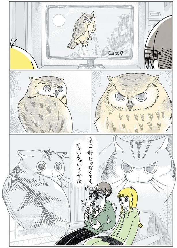 フクロウを見ていると （C）キュルZ／KADOKAWA