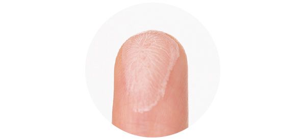 量はこのくらい