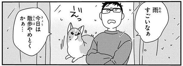 雨の日はワンコと室内遊び。元気すぎる愛犬と賢く遊ぶコツ (C)らくだ／KADOKAWA