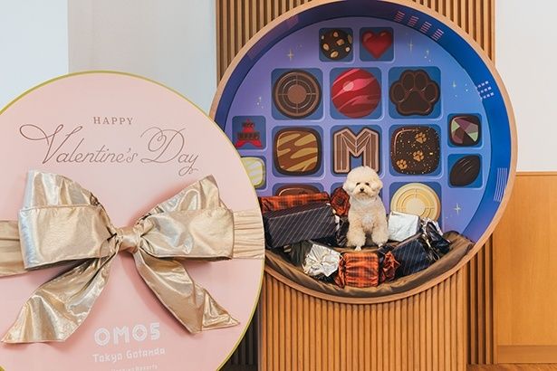 バレンタインフォトスポット