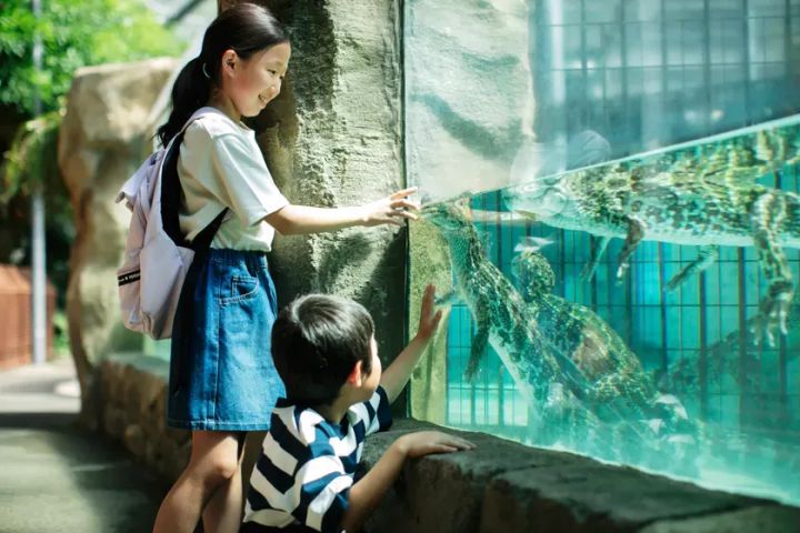 子供たちが水族館でワニを見ている様子を描いた写真です。ガラス越しにワニを指さしています。