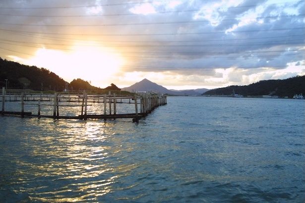 若狭ふぐ養殖のイメージ