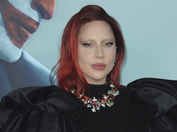 レディー・ガガ、東京ドームコンサートでICEへの思いを語る （C）AFLO width=