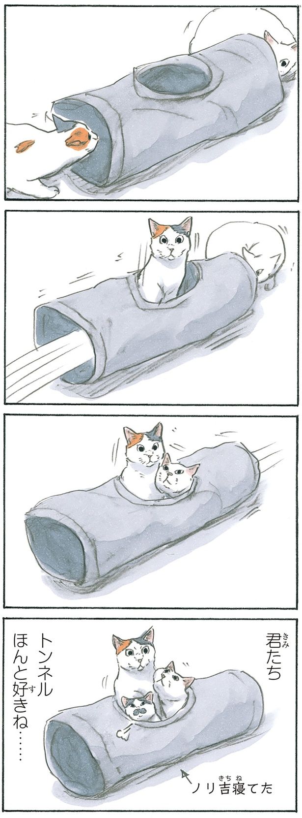 トンネル大好き （C）にごたろ／KADOKAWA