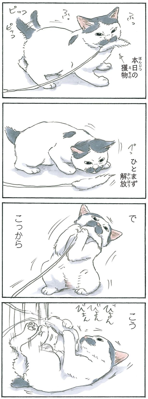 ノリ吉スペシャル （C）にごたろ／KADOKAWA