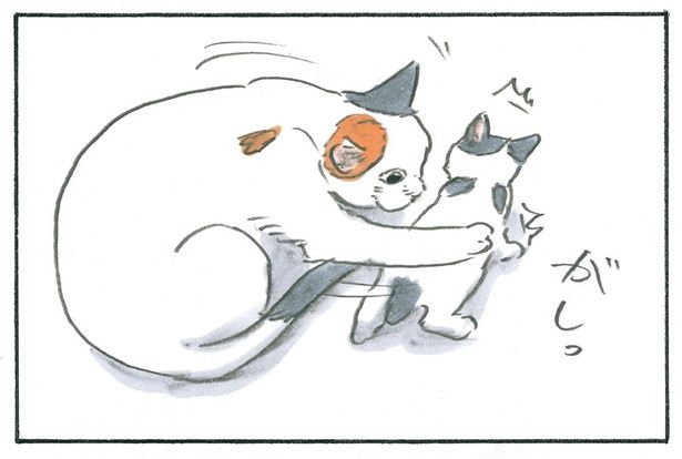 子猫の進行を阻止してまで… （C）にごたろ／KADOKAWA