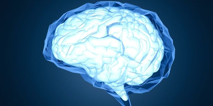 どうして寝不足」で注意が崩れるのか