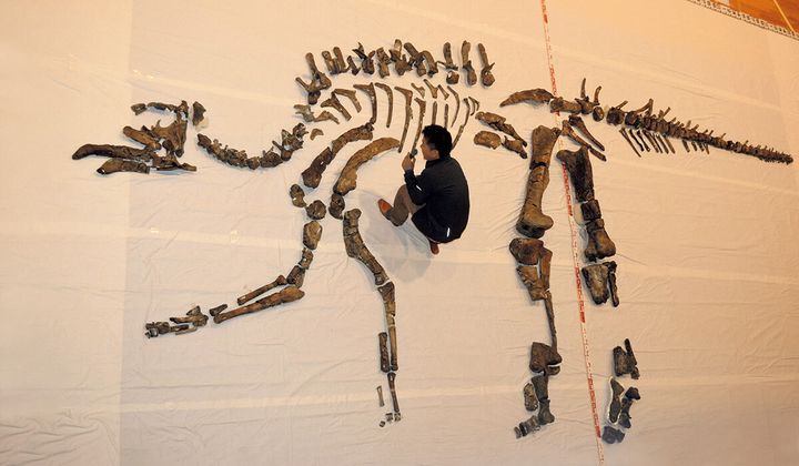 古生物学者・小林快次 むかわ竜（カムイサウルス・ジャポニクス）の全身骨格