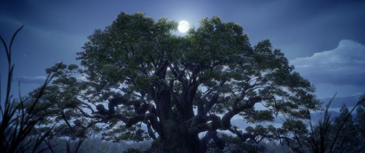 (c)東野圭吾／アニメ「クスノキの番人」製作委員会