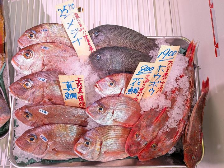 この日のメジナは2500円。同サイズのマダイを上回る価格だった