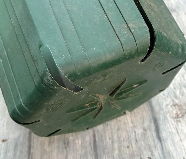 底部 には穴がないスリットタイプの鉢。