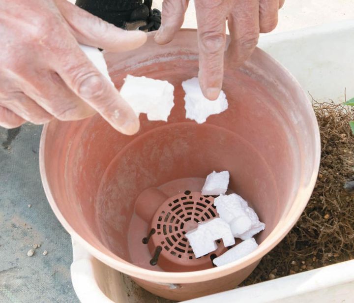 中央が凸形になっているプラスチック製の鉢。鉢底石の代わりに発泡スチロール片を入れている。