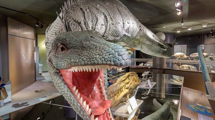 2位「モササウルス」のイメージ（PIXTA提供）