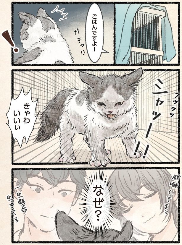 ごはんですよー （C）うぐいす歌子／KADOKAWA