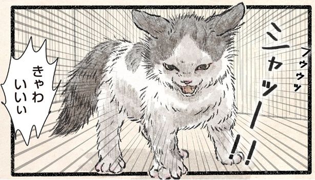 威嚇してるのに… （C）うぐいす歌子／KADOKAWA