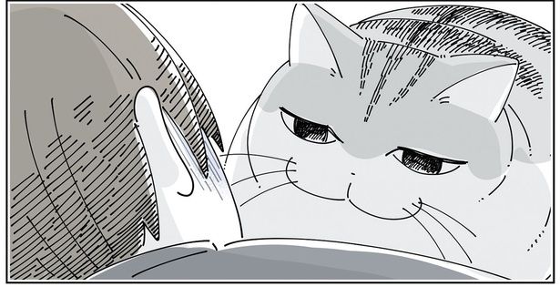 その顔はどういう感情？ （C）キュルZ／KADOKAWA