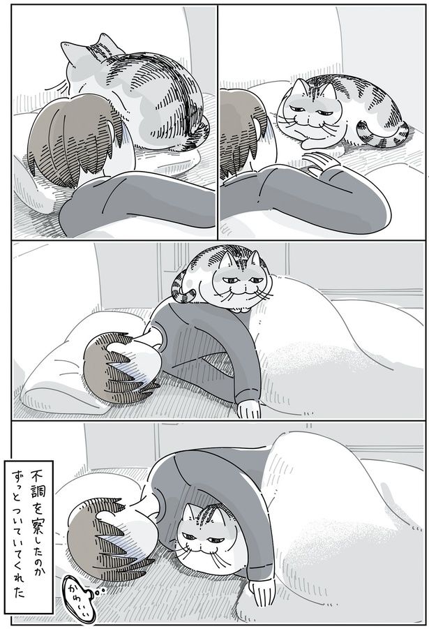 飼い主の不調を察してくれたのか （C）キュルZ／KADOKAWA