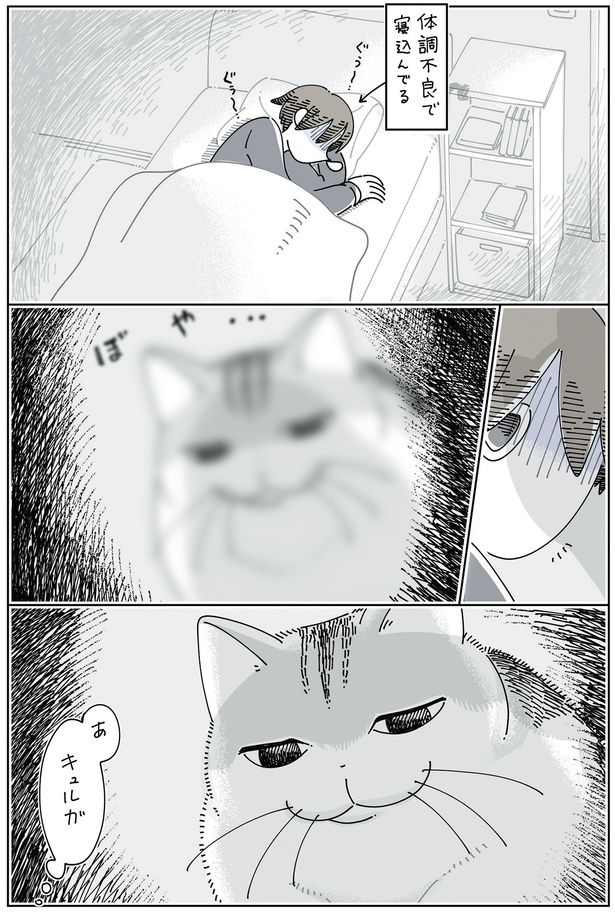 体調不良の飼い主の横に （C）キュルZ／KADOKAWA