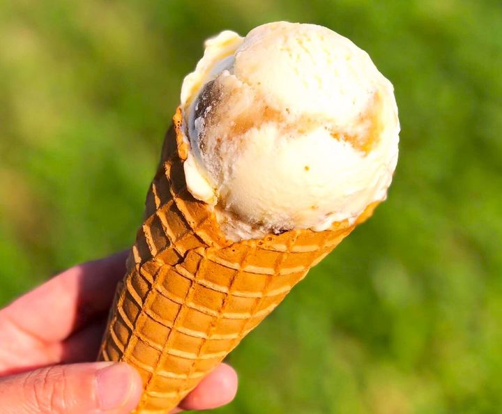 いちじくアイスクリーム（レギュラーサイズ）500円