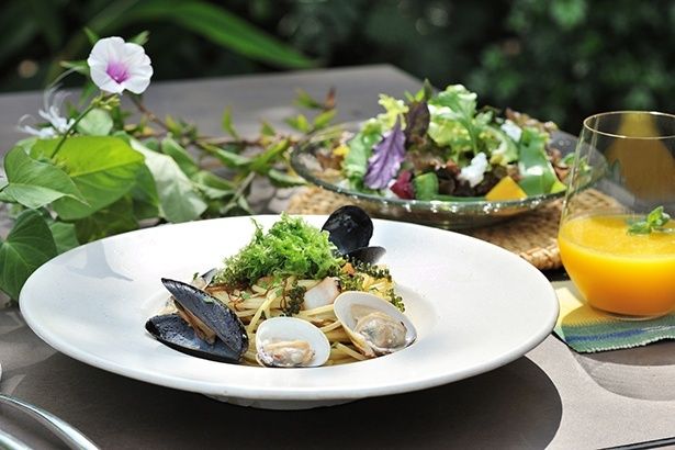 旬の食材を味わう「うりずんランチ」