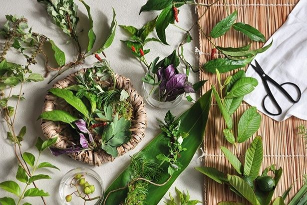 冬から春にかけて旬を迎え、ひときわ香り高くなる命草