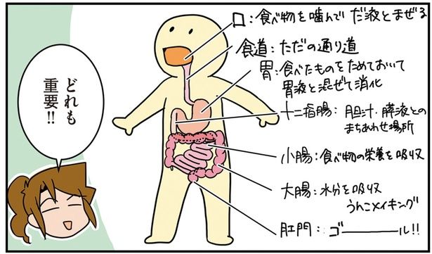 どれも重要！ （C）さーたり／KADOKAWA