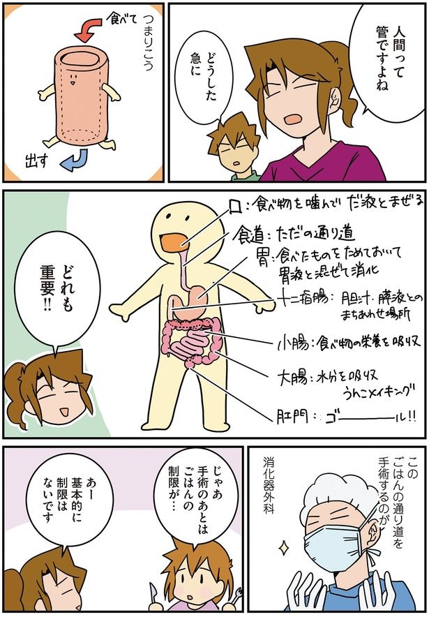 人間は管 （C）さーたり／KADOKAWA