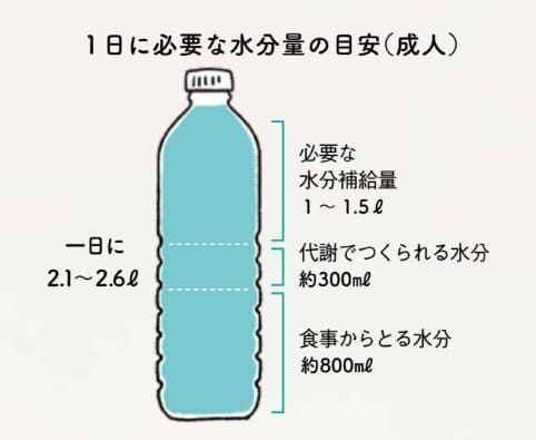 飲みすぎは「毒」！体が1日に必要とする水分量は？