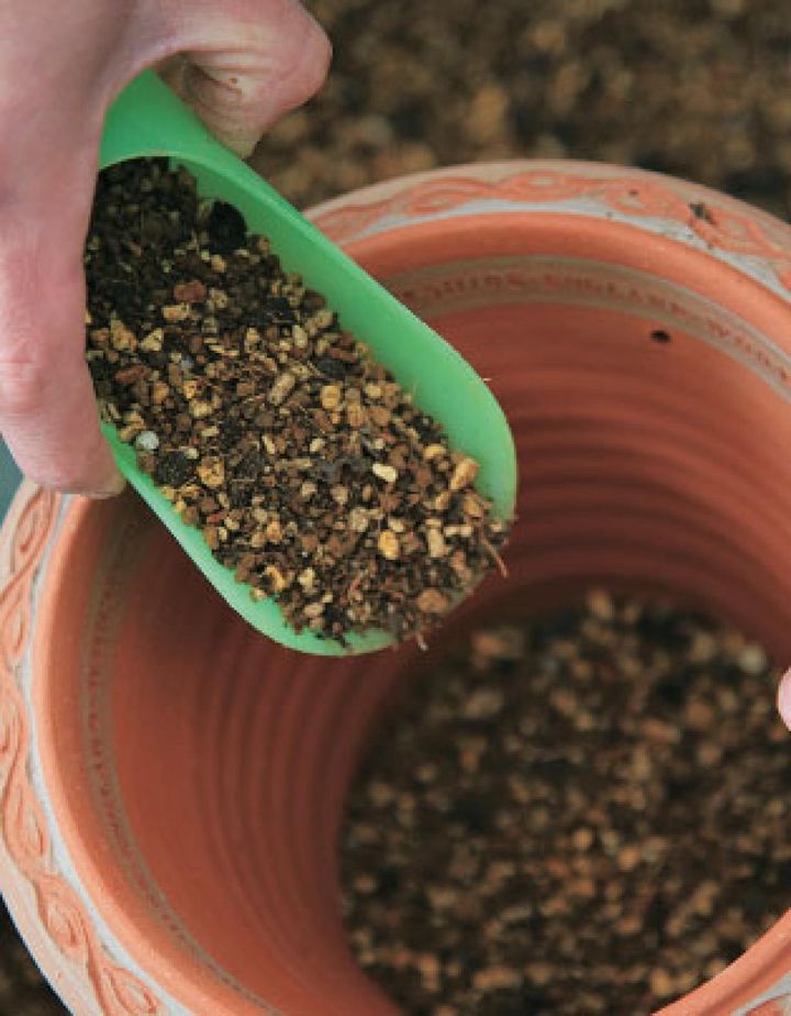【６】あらかじめブレンドしておいた土を鉢に入れます。