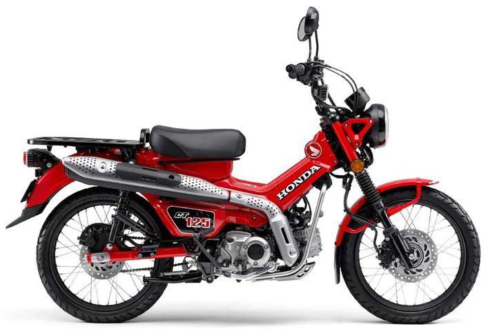 【2026年版】令和8年に免許を取得する人向けにざっくり解説！ バイク免許区分の違いと125cc・250cc・大型それぞれの魅力、新制度の動きも紹介