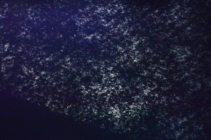 100均のフェルトを比較してみた！【セリア・キャンドゥ・ダイソー】