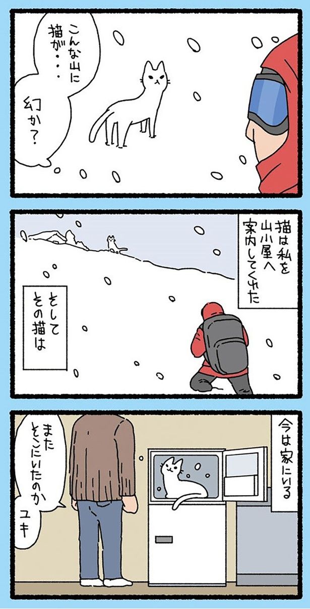 こんな山に猫が… （C）ぱんだにあ／竹書房