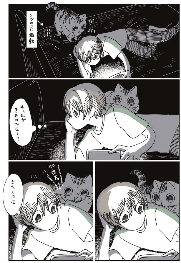 ペロチョ… （C）キュルZ／KADOKAWA