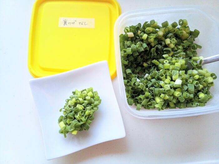 『万能ねぎ』そのまま冷凍するの待って！パラパラのまま保存するための正解を検証してみた。